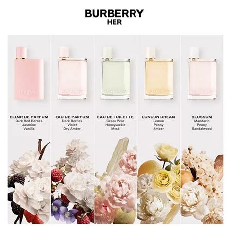 burberry horseferry jacke|burberry her fragrance.